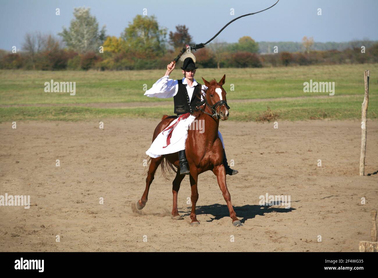 PUSZTA, UNGHERIA, SETTEMBRE 04. 2020: Pastori ungheresi come csikos in costume tradizionale folk che mostra i suoi cavalli addestrati nel puszta lowl ungherese Foto Stock