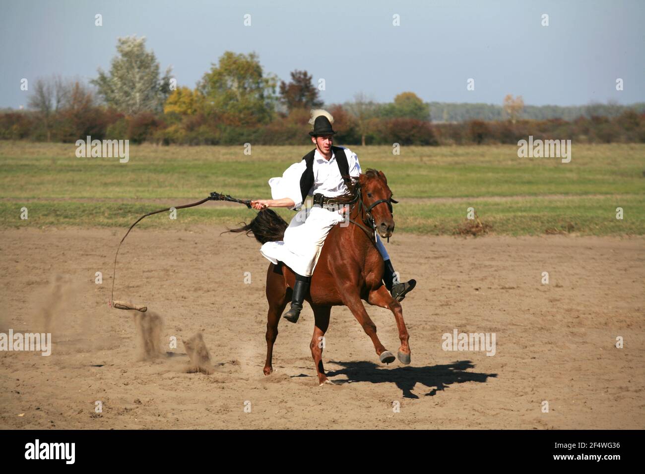 PUSZTA, UNGHERIA, SETTEMBRE 04. 2020: Pastori ungheresi come csikos in costume tradizionale folk che mostra i suoi cavalli addestrati nel puszta lowl ungherese Foto Stock