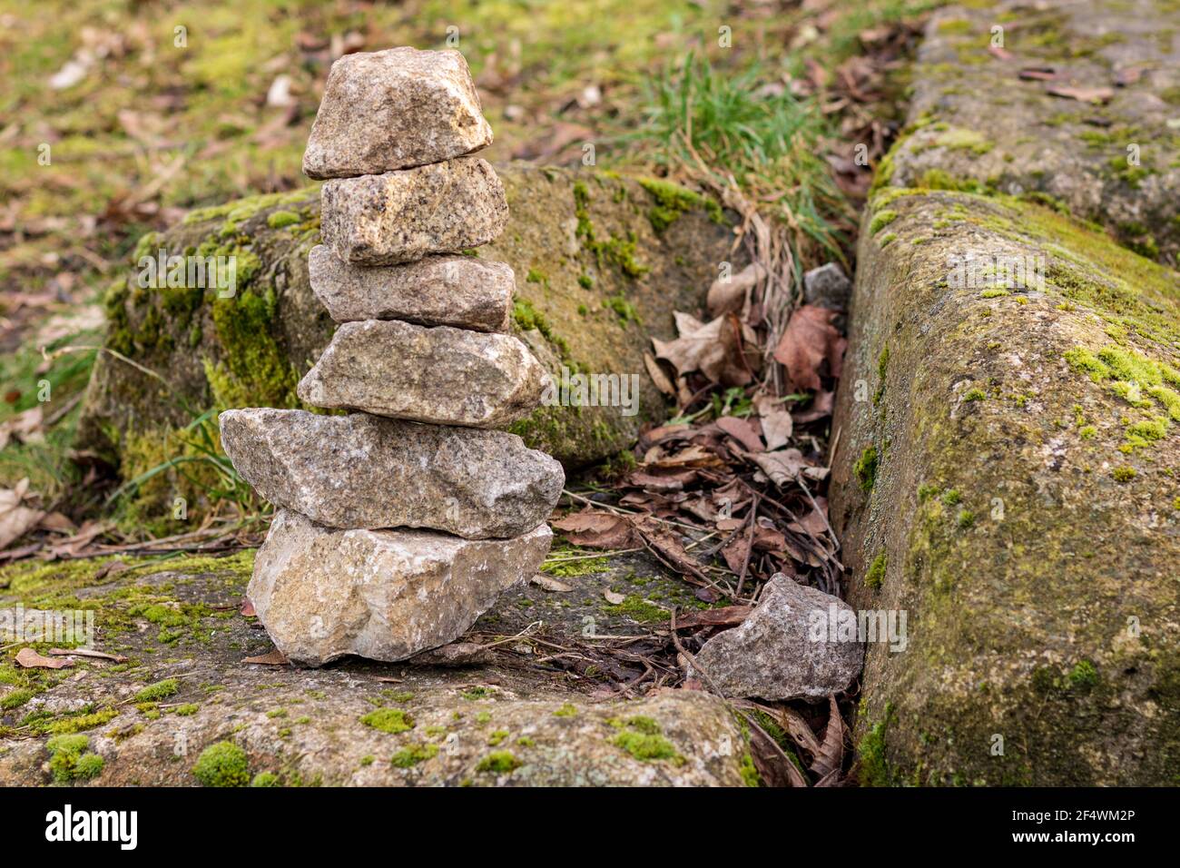sistemazione in pietra nella foresta di mossi. Pietre in equilibrio Foto Stock
