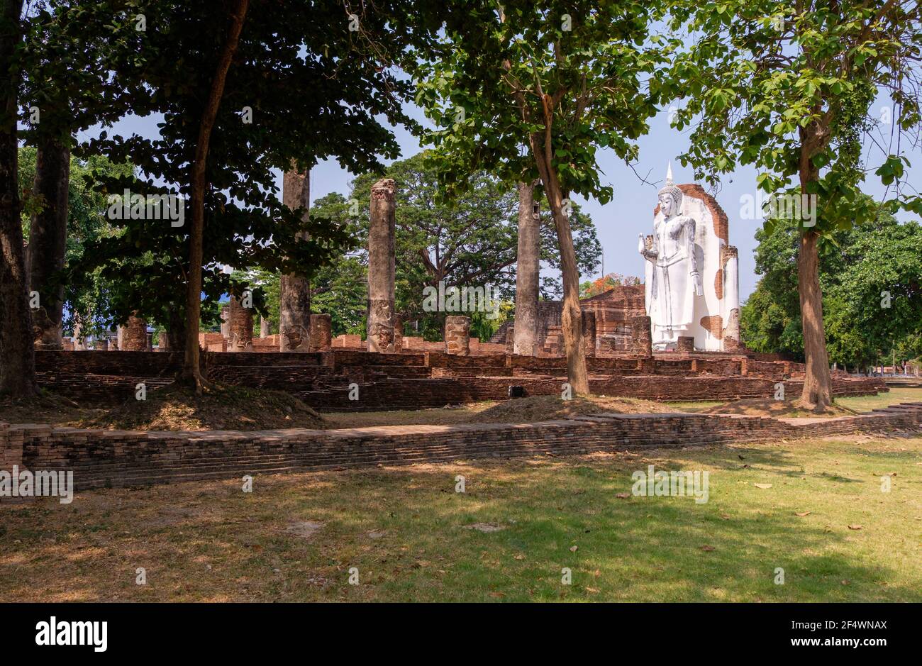 La vecchia statua bianca del Buddha si trova nelle rovine della chiesa dell'antico tempio tailandese, circondato da un grande albero. (Area pubblica non richiesta di proprietà Foto Stock