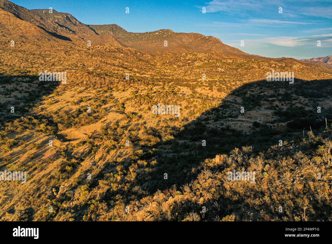 Veduta aerea del paesaggio e dell'orizzonte nel Tonibabi ejido nella Sierra la Madera, comune di Moctezuma, sonora, Messico. (Foto di Luis Gutierrez / Norte Photo) Vista aerea del paisaje y horizonte en ejido Tonibabi en la Sierra la Madera, municipio de Moctezuma, sonora, Messico. (Foto di Luis Gutierrez/Norte Photo) deserto di sonora. Desierto de sonora. Foto Stock