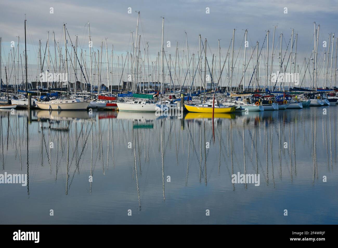 Barche a vela presso Howth Yacht Club e Marina a Dublino, Contea di Leinster Irlanda. Foto Stock