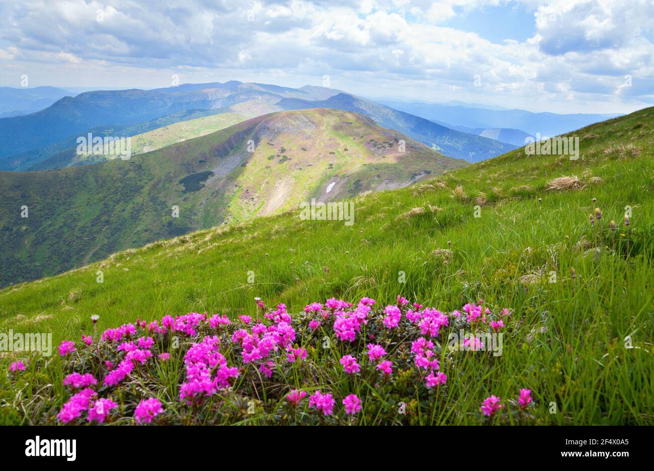 Catene Montuose Dei Carpazi Immagini e Fotos Stock - Alamy