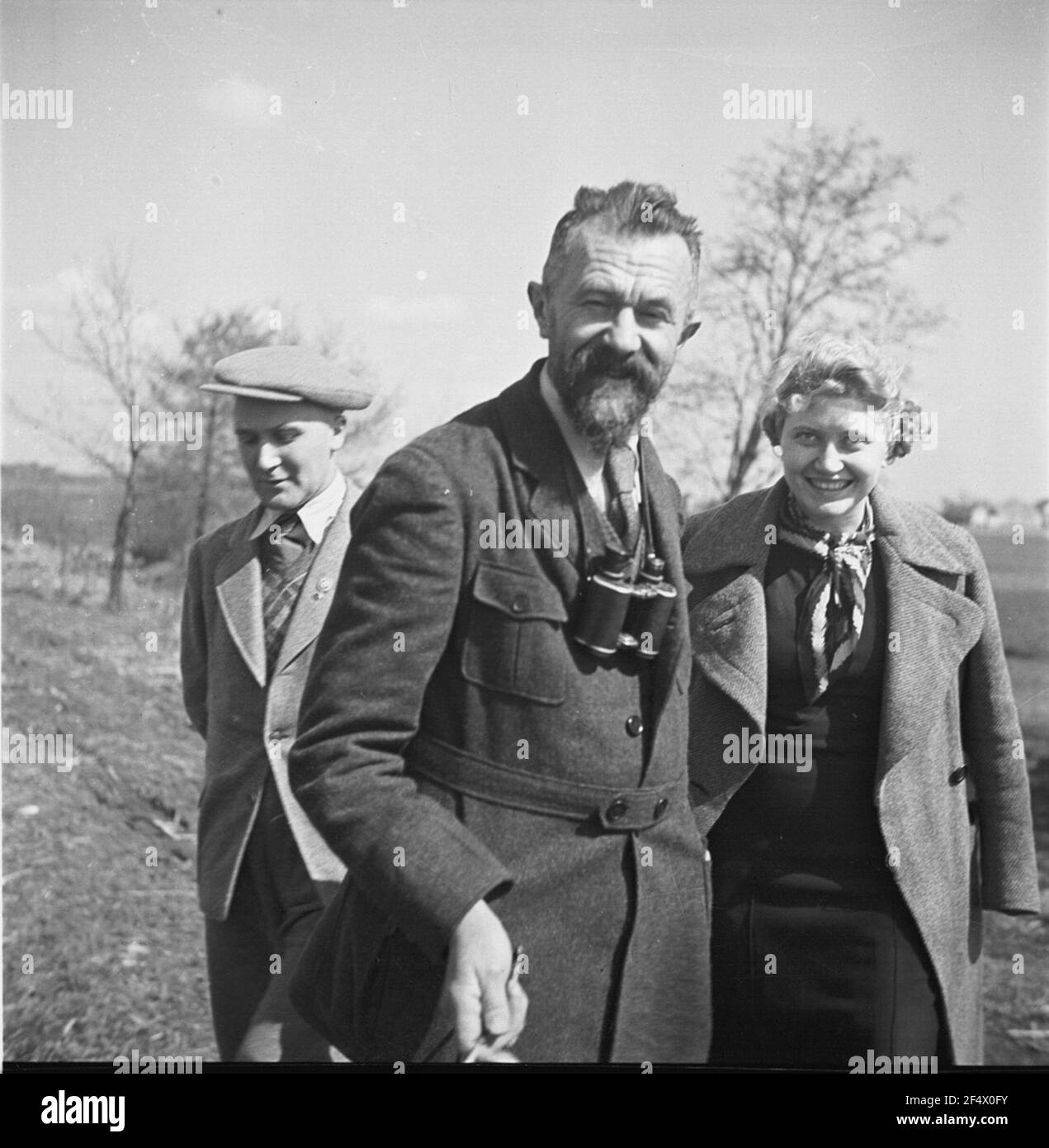 Lüneburger Heide Foto Stock