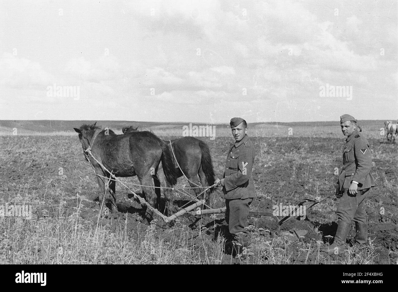 Seconda guerra mondiale. Immagini frontali. Unione Sovietica. Parenti del tedesco Wehrmacht con un aratro (probabilmente per strappare la sciarpa per trincee) Foto Stock
