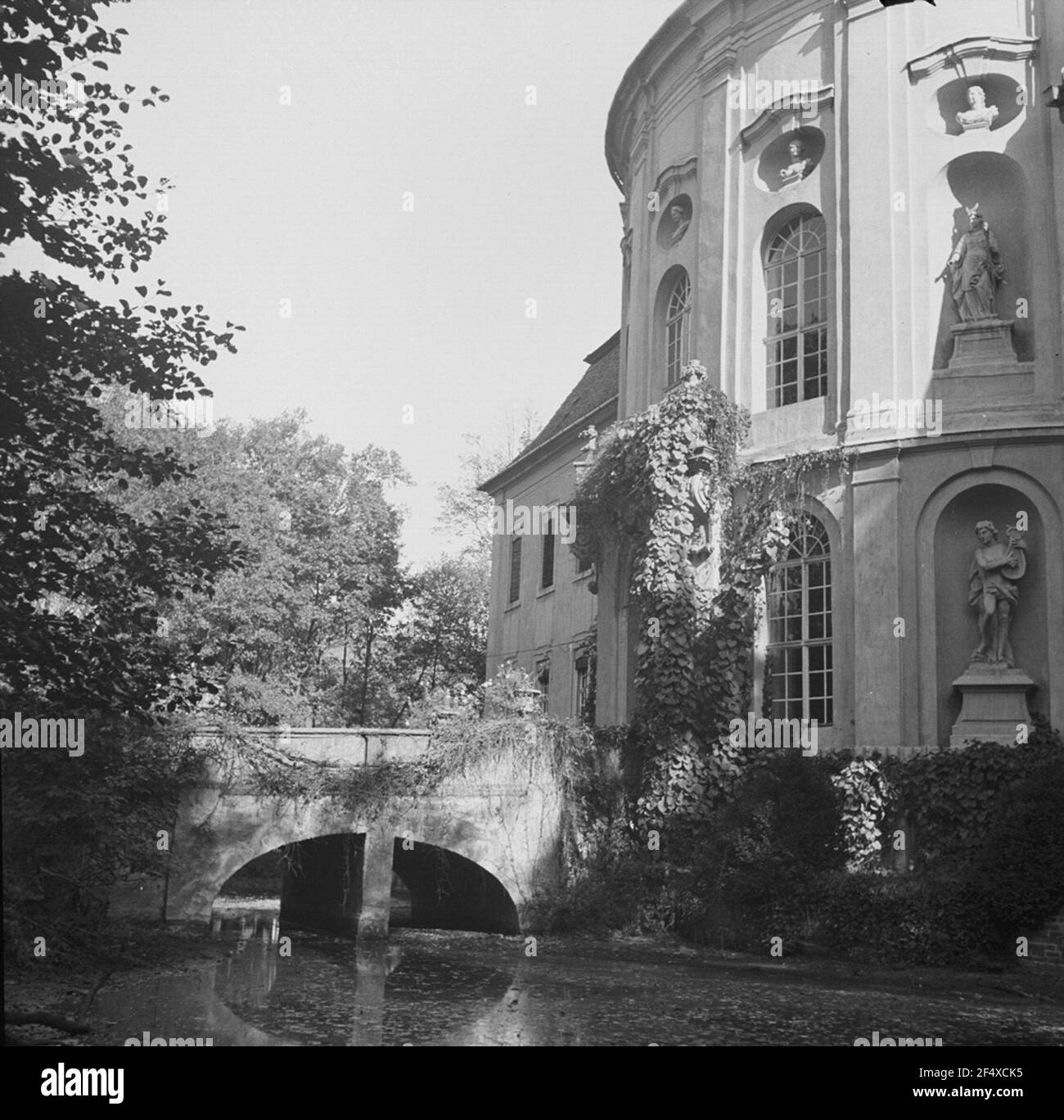 Lüneburger Heide Foto Stock