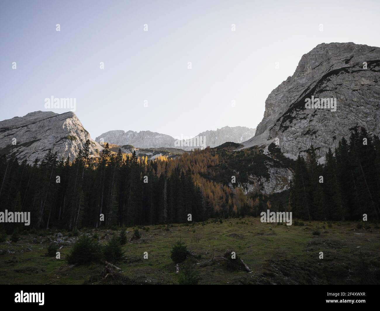 Autunno autunno autunno tramonto panorama di montagna alpina sul lago Seebensee in Ehrwald Tirolo, Austria alpi Europa Foto Stock