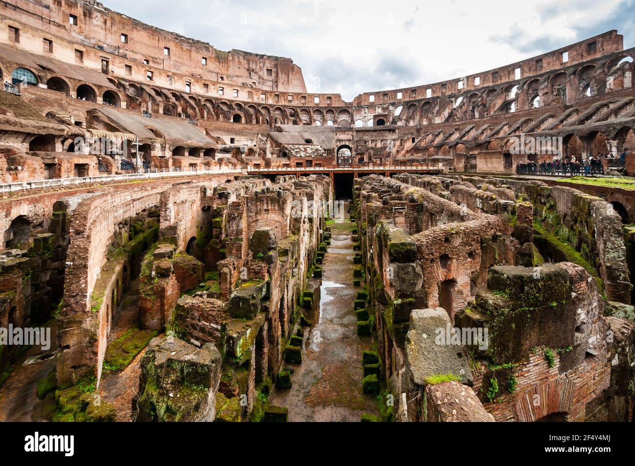 All'interno del Colosseo a Roma in Lazio in Italia Foto Stock