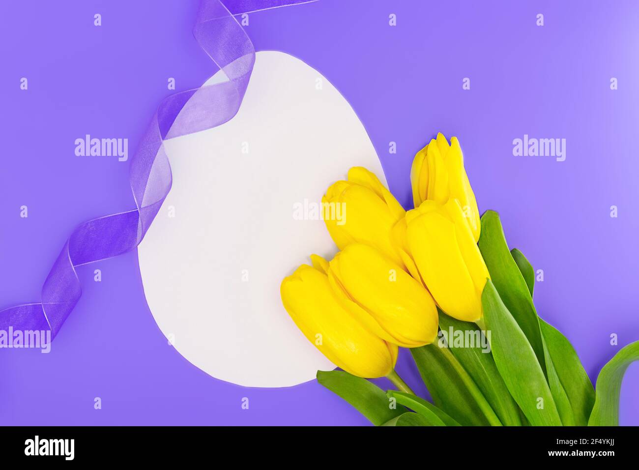 Tulipani gialli con foglio di uovo di carta bianca per testo con nastro. Pasqua, giorno delle donne, giorno delle madri, sfondo del compleanno. Spazio di copia Foto Stock
