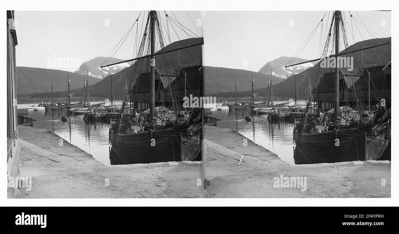 Tromso / Norvegia. Nel porto di pesca. Cibo di pesce nel porto di pesca di Tromsø Foto Stock