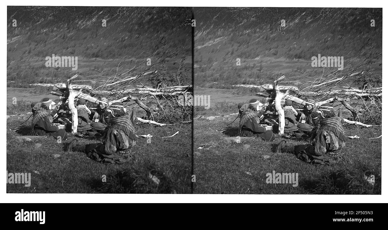 A Tromsø / Norvegia: Nel campo dei semi. Semi di cuscinetto ai piedi di una montagna Foto Stock