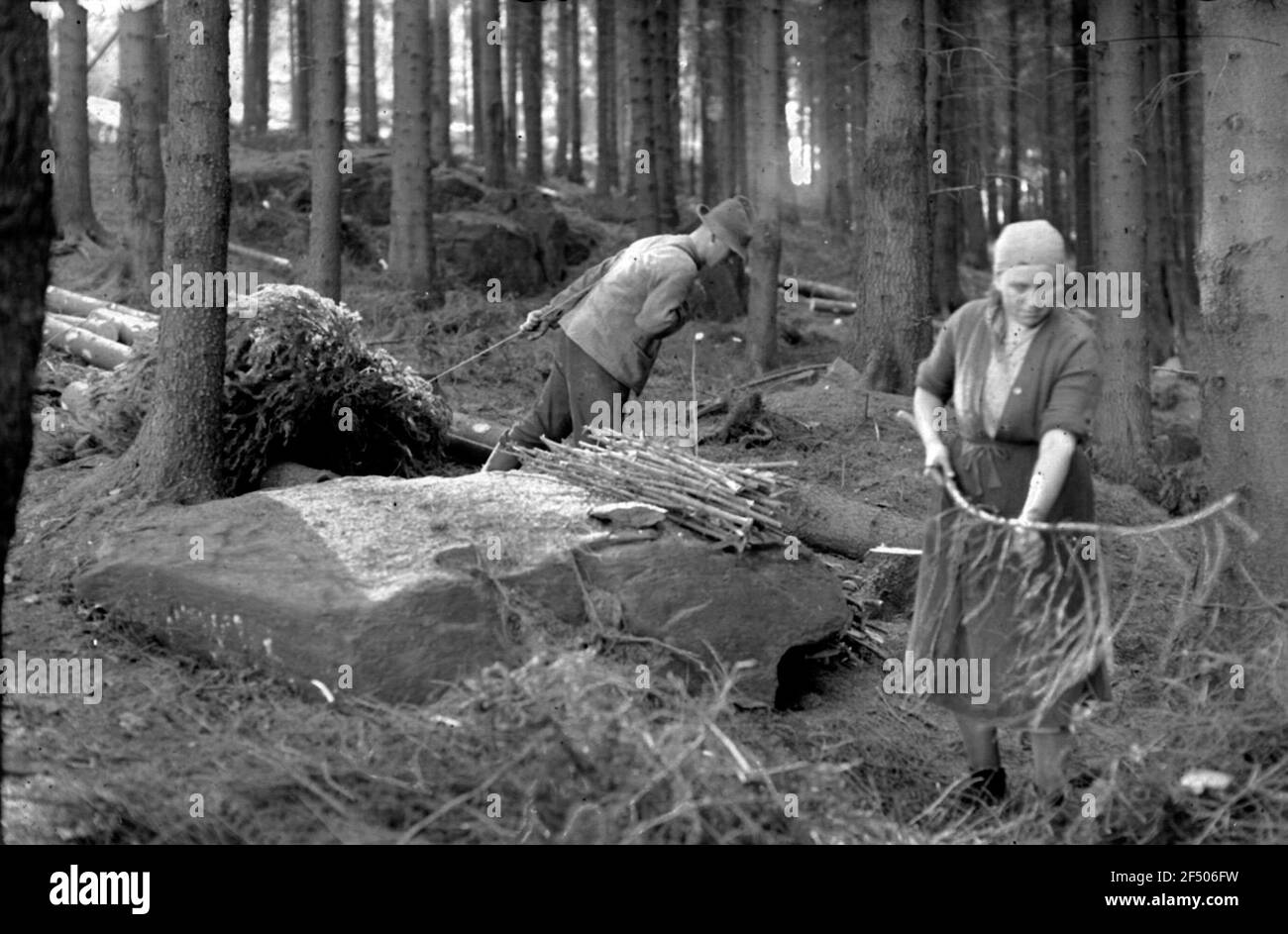 Spazzole per la pulizia - legna da ardere di valore per l'inverno Foto Stock