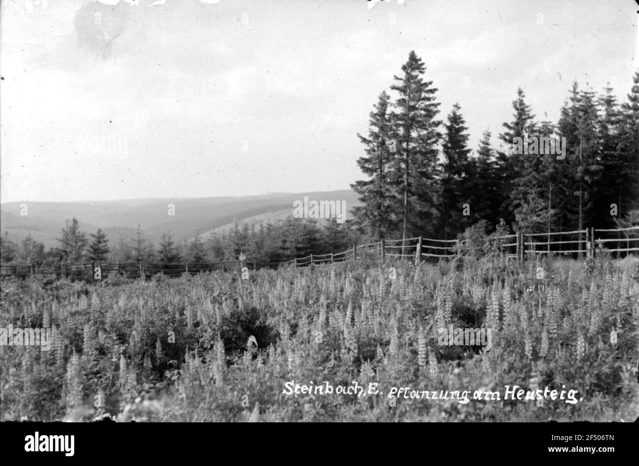 Piantando giardino a Heustig Foto Stock