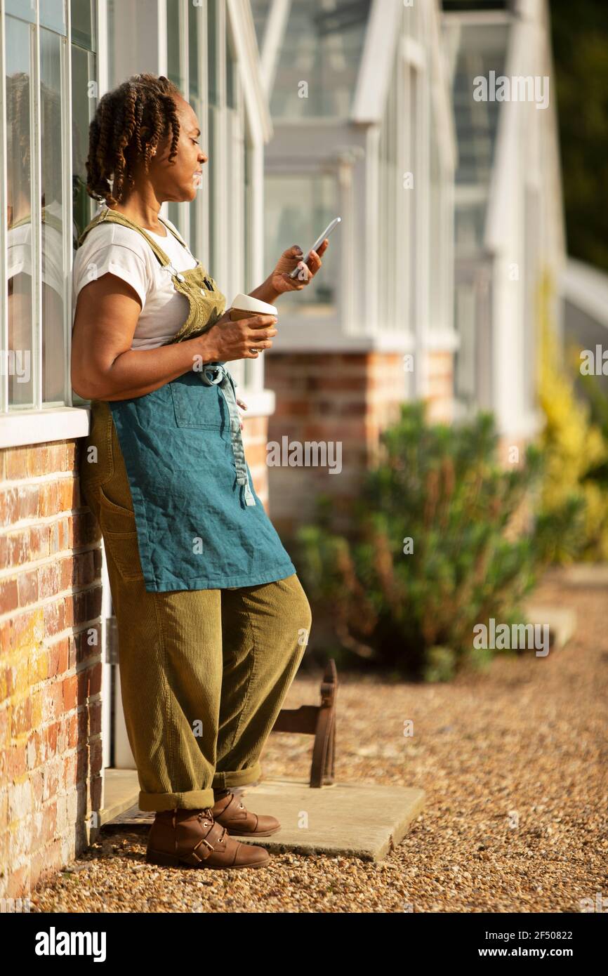 Donna proprietario del centro giardino godendo pausa caffè in serra soleggiata Foto Stock