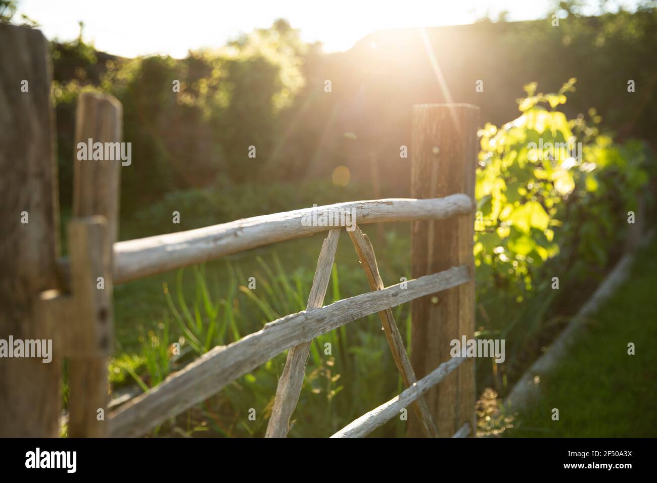 Cancello di legno in un giardino estivo idilliaco e soleggiato Foto Stock