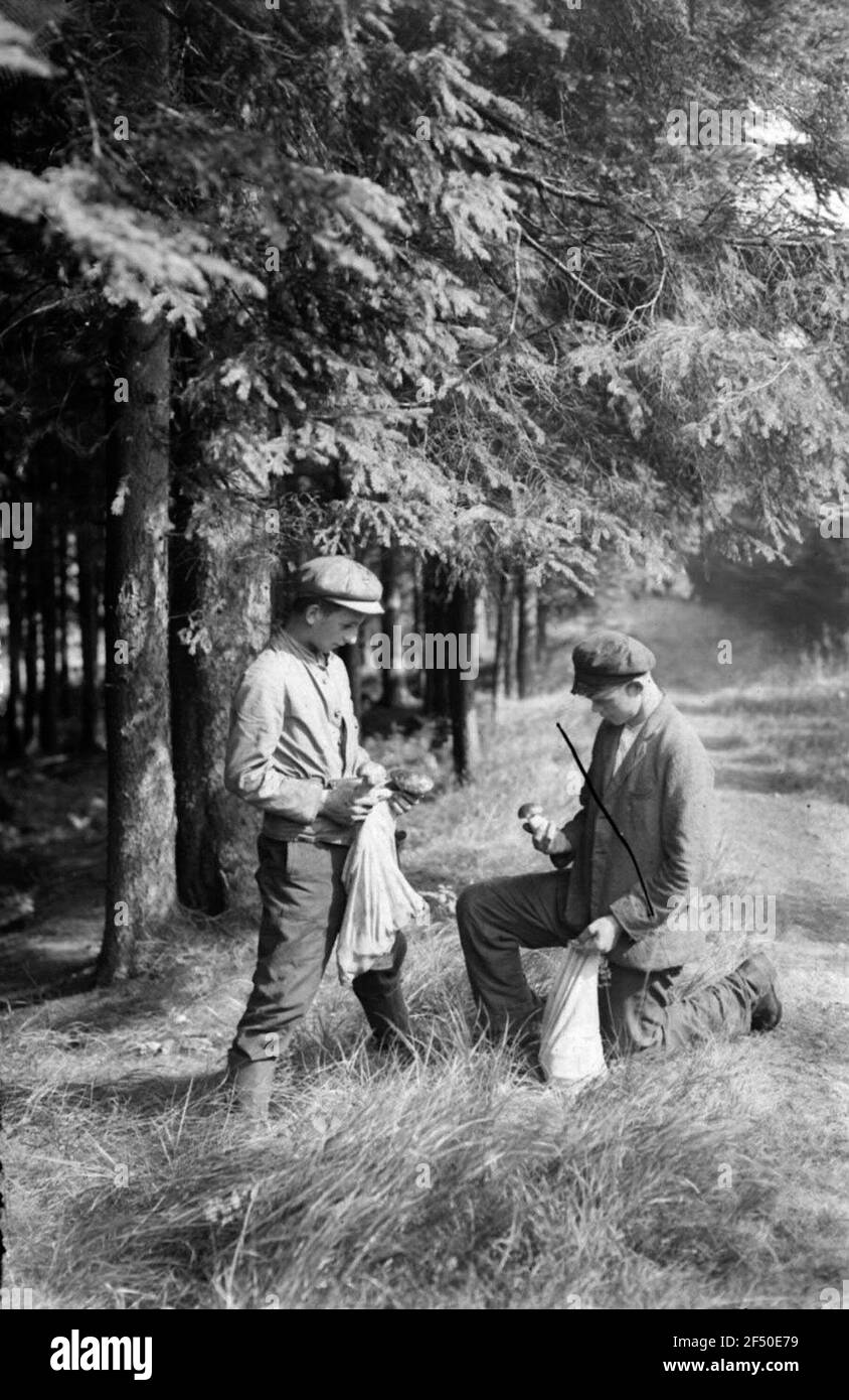 Giovane collezionista di funghi Foto Stock