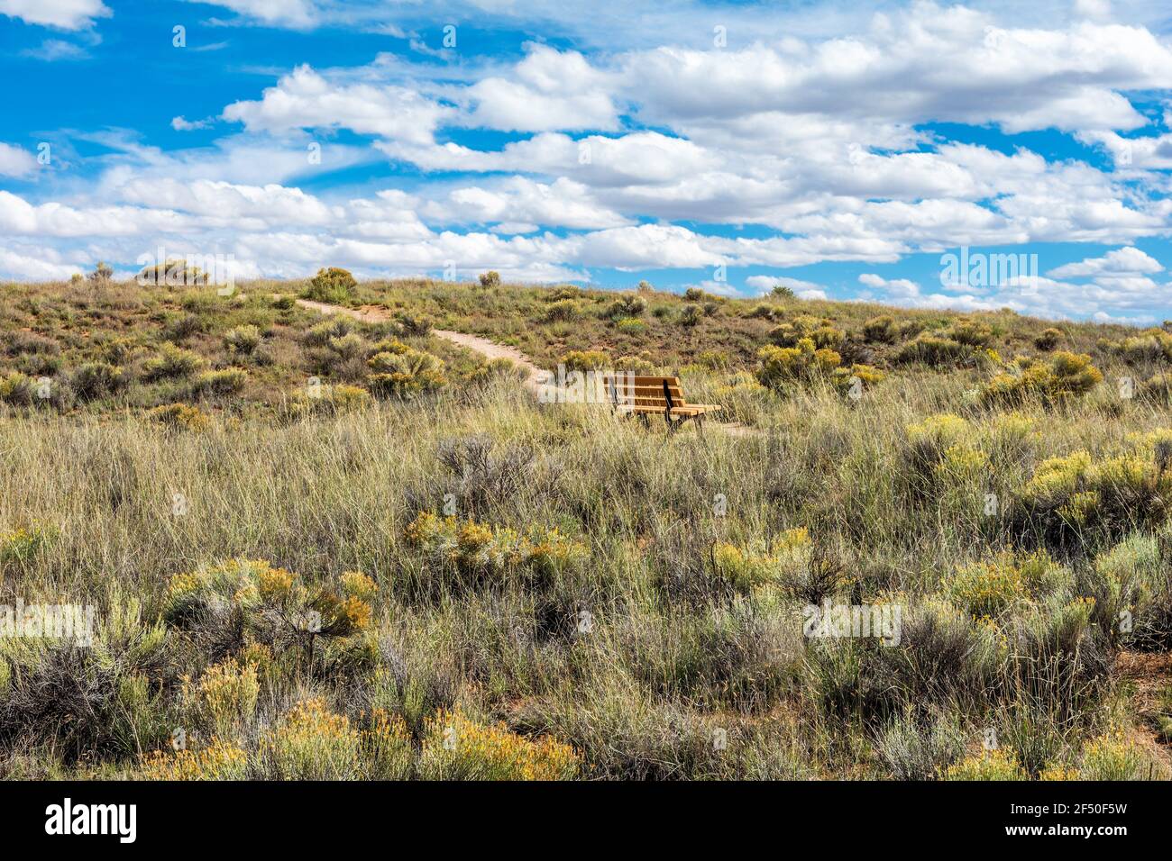 Paesaggio del New Mexico, monumento nazionale El Malpais, contea di Cibola, New Mexico, Stati Uniti. Foto Stock