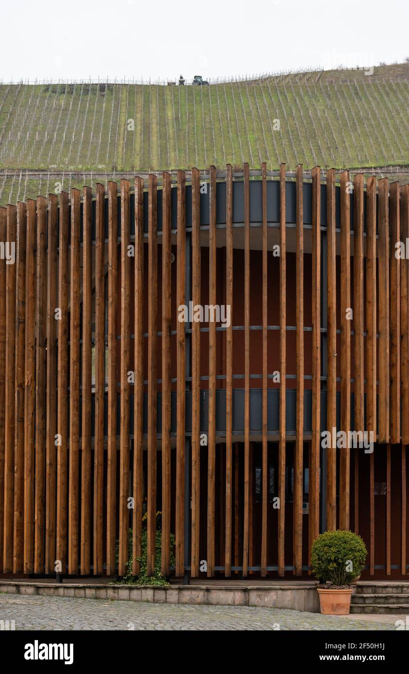 Architettura enologica nella Valle Mosel, cantina Regnery, Klüsserath, Germania Foto Stock