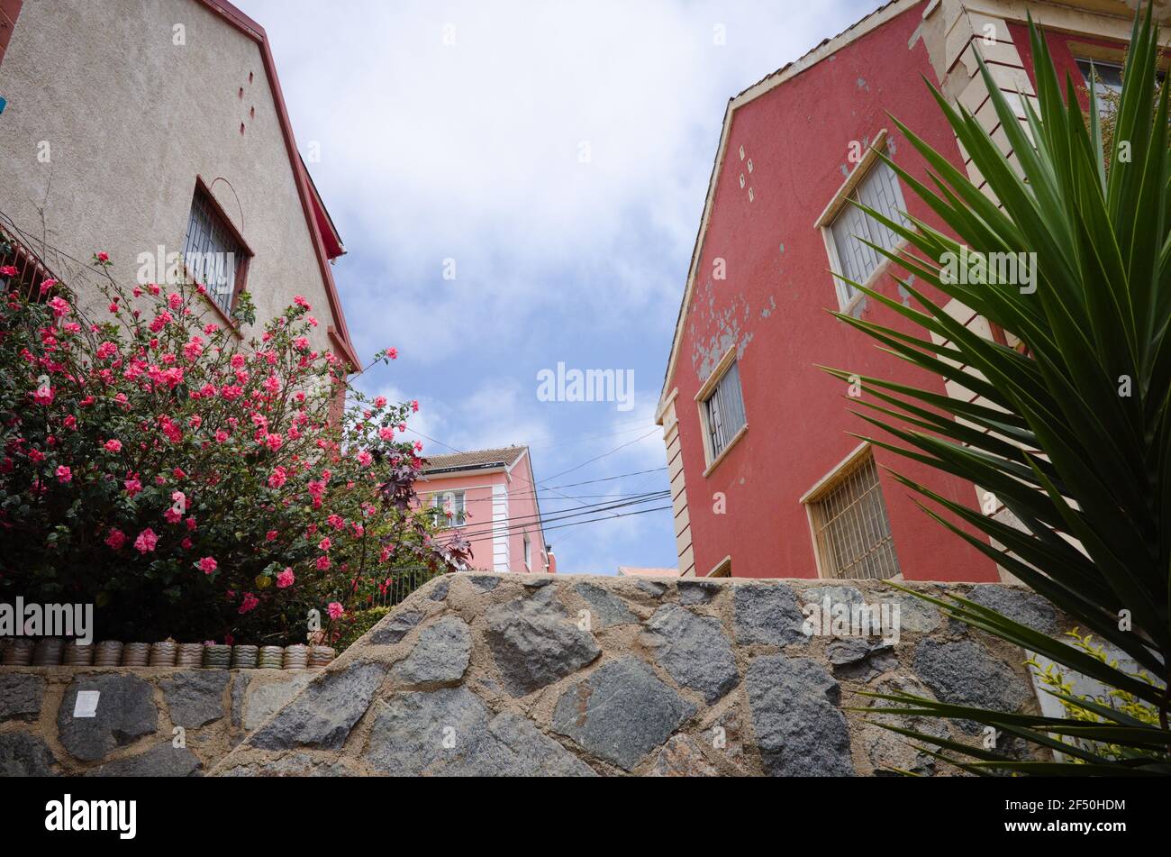 Vecchie case private sulla collina in Valparaiso. Pianta verde, recinto di pietra e albero fiorito in primo piano. Tipica zona residenziale con cottage Foto Stock