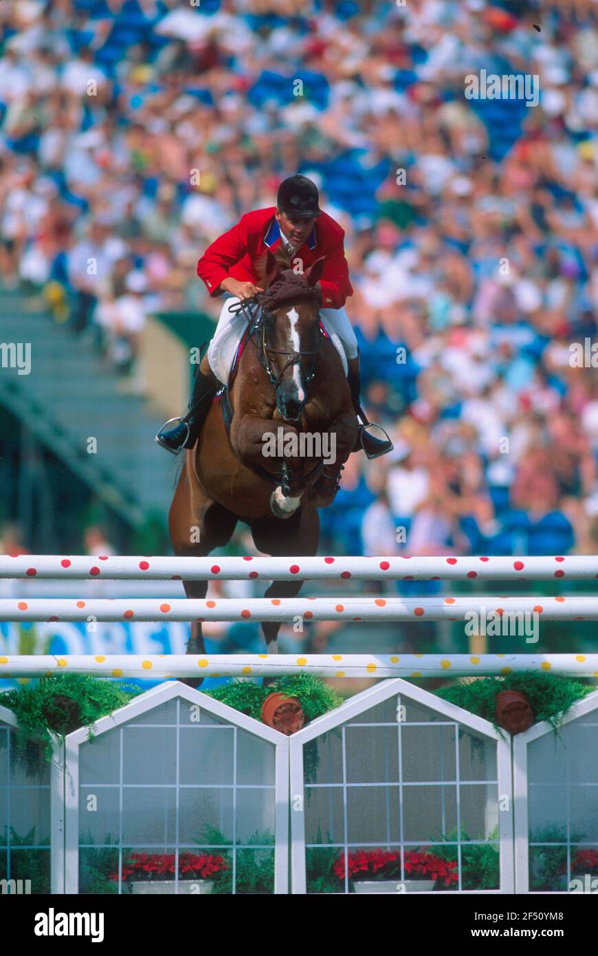 World Equestrian Games, The Hague, 1994, Tim Grubb (Gbr) In Sella A Elan Denizen Foto Stock