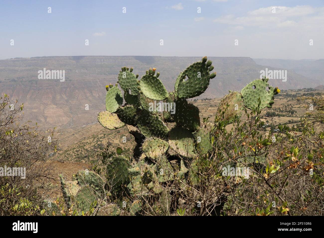 La grande Rift Valley, Etiopia Foto Stock