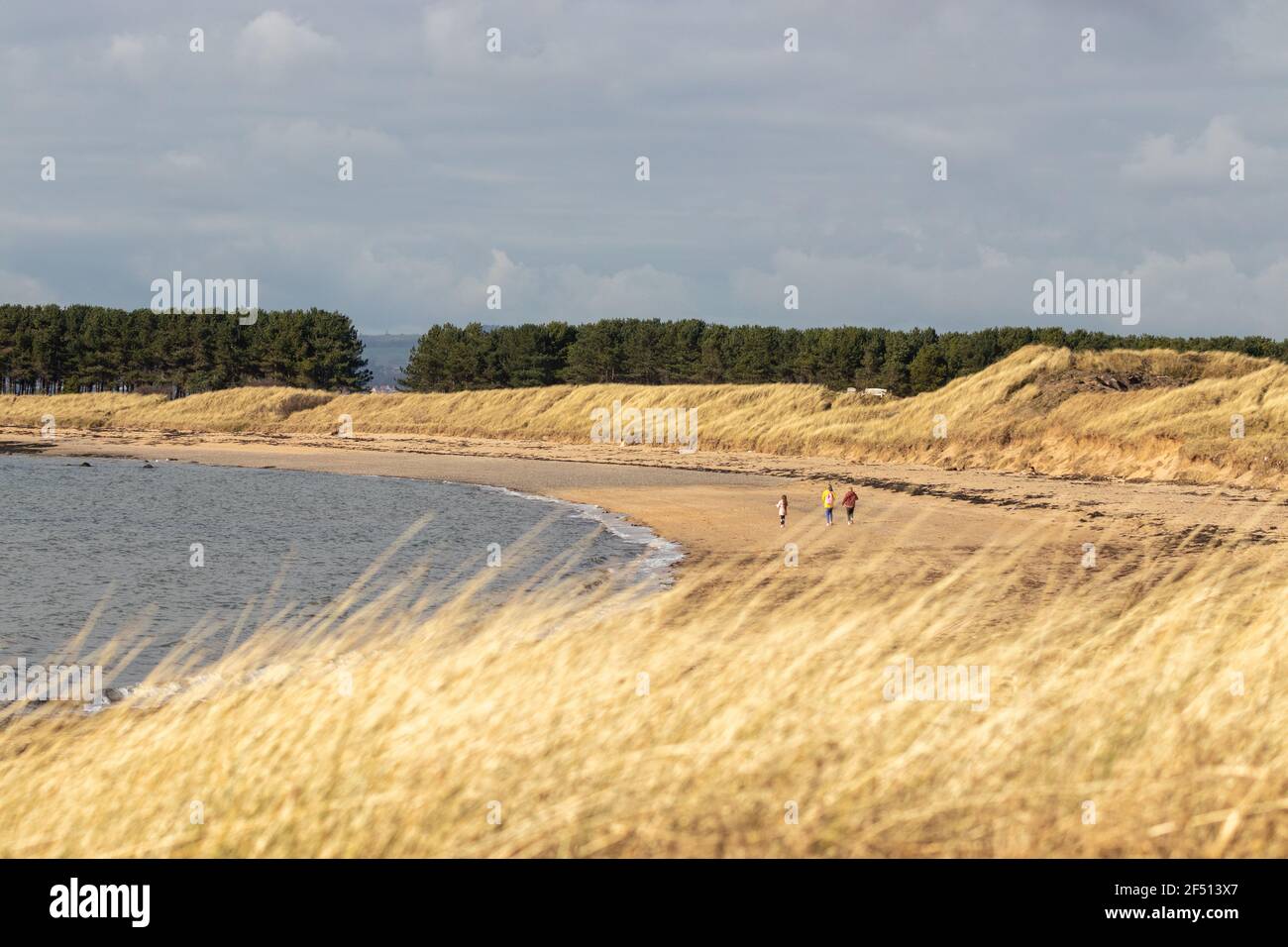 Tre persone camminano sulla spiaggia sabbiosa di Shell Bay vicino a Elie, Fife, Scozia. Foto Stock