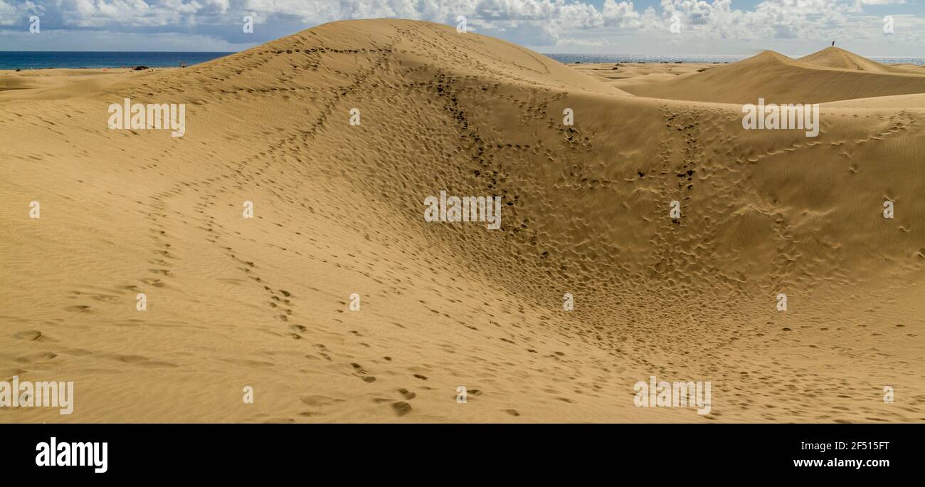 Ampio shot di dune di sabbia coperte di impronte alla spiaggia in una giornata di sole Foto Stock