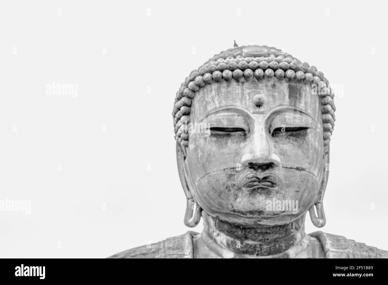 Kamakura Daibutsu Buddha Head Foto Stock