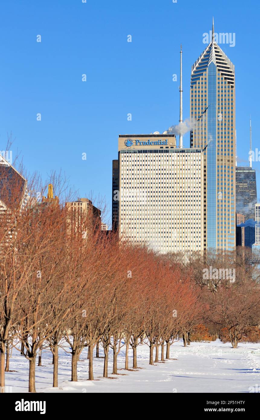 Chicago, Illinois, Stati Uniti. Una parte dello skyline della città torreggia sopra un Grant Park, innevato, a complemento di una recente tempesta invernale. Foto Stock