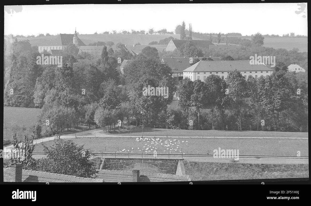 Vista grigio-piggy Foto Stock