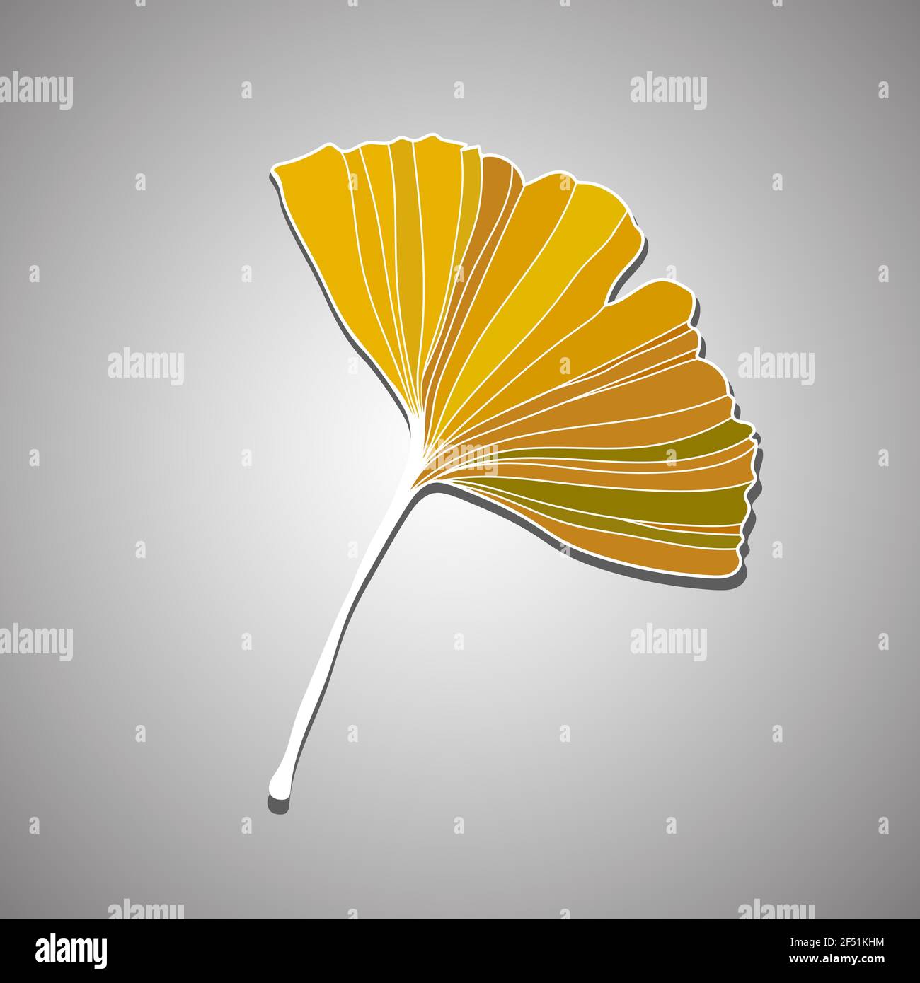 Illustrazione vettoriale della foglia di ginkgo biloba. Disegno della linea d'inchiostro Illustrazione Vettoriale