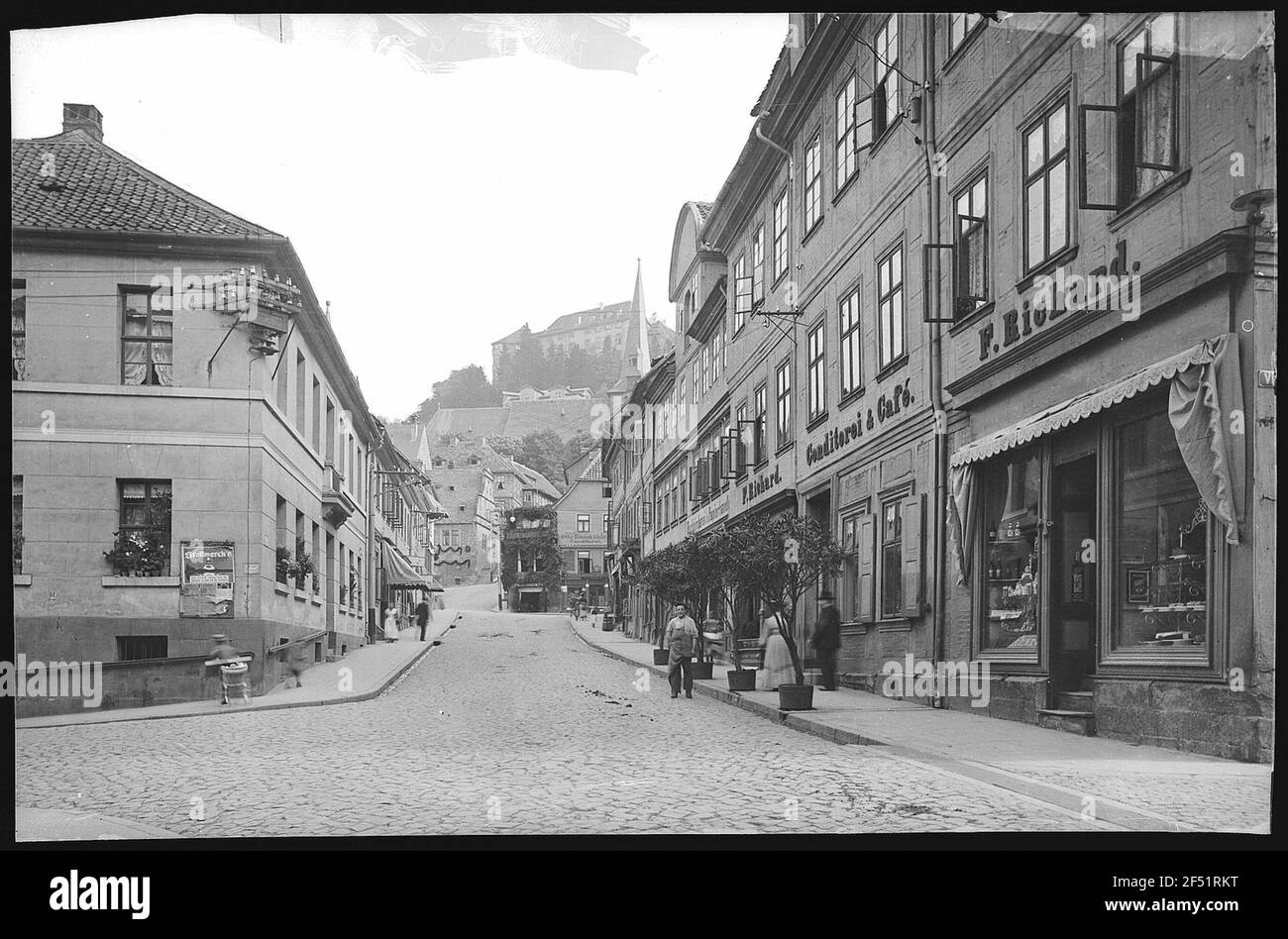 Blankenburg. Alberi Foto Stock