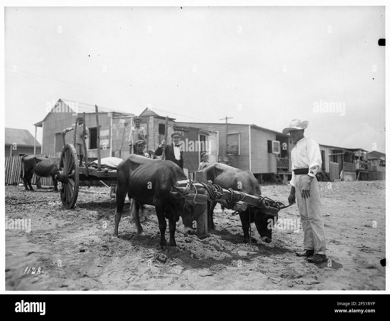 San Juan, Porto Rico. Lavoratore con carretto bue di fronte alla strada con capanne Foto Stock