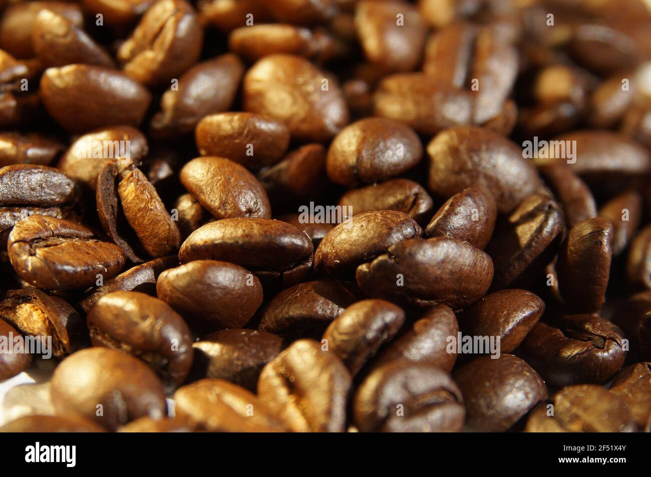 Chicchi di caffè naturali arrostiti. Primo piano alla luce del giorno. Foto Stock