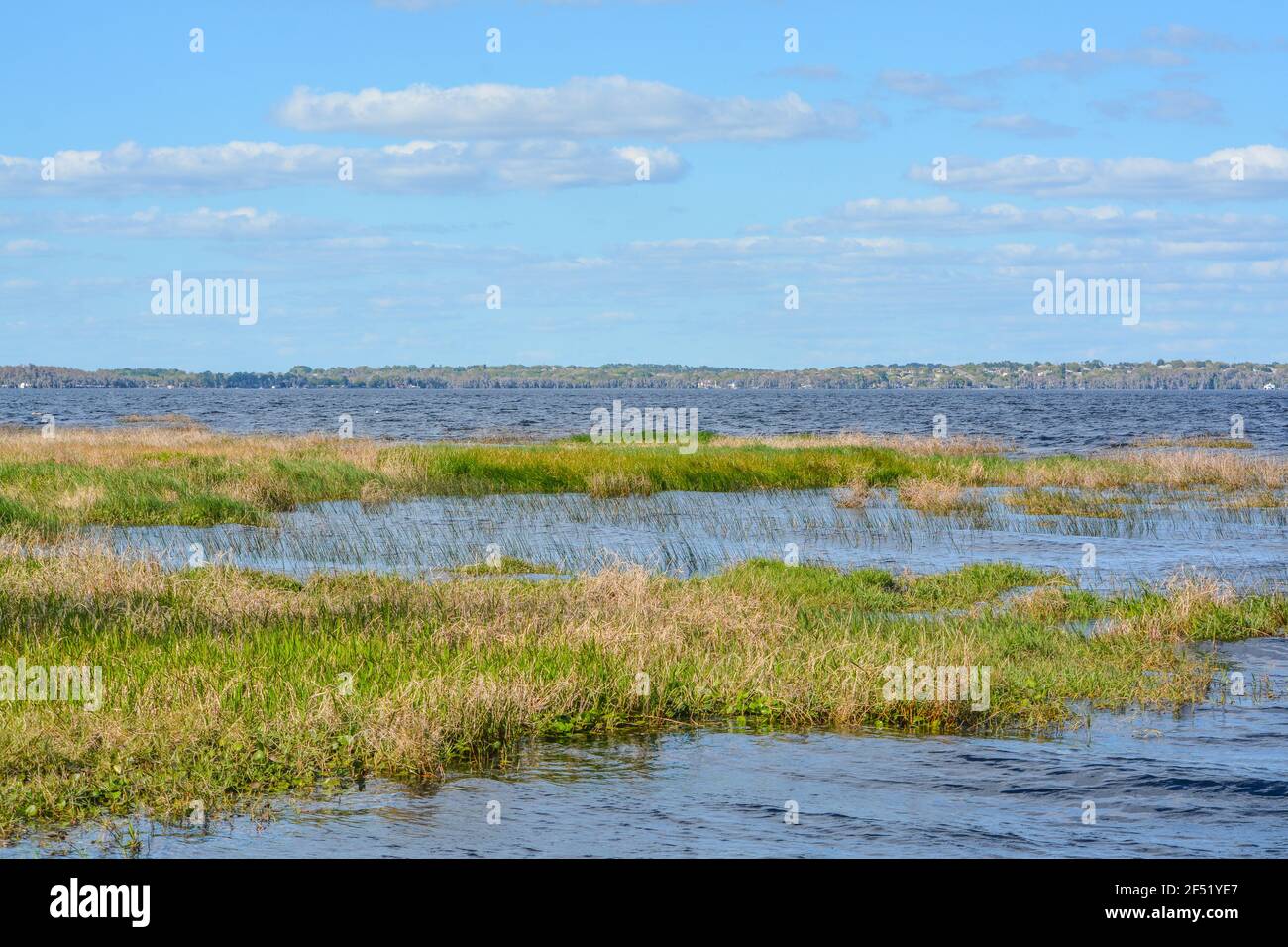 Splendida vista sul lago Louise nelle zone umide di Clermont, Lake County, Florida Foto Stock