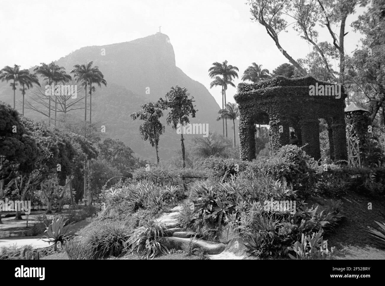 Giardino Botanico Foto Stock