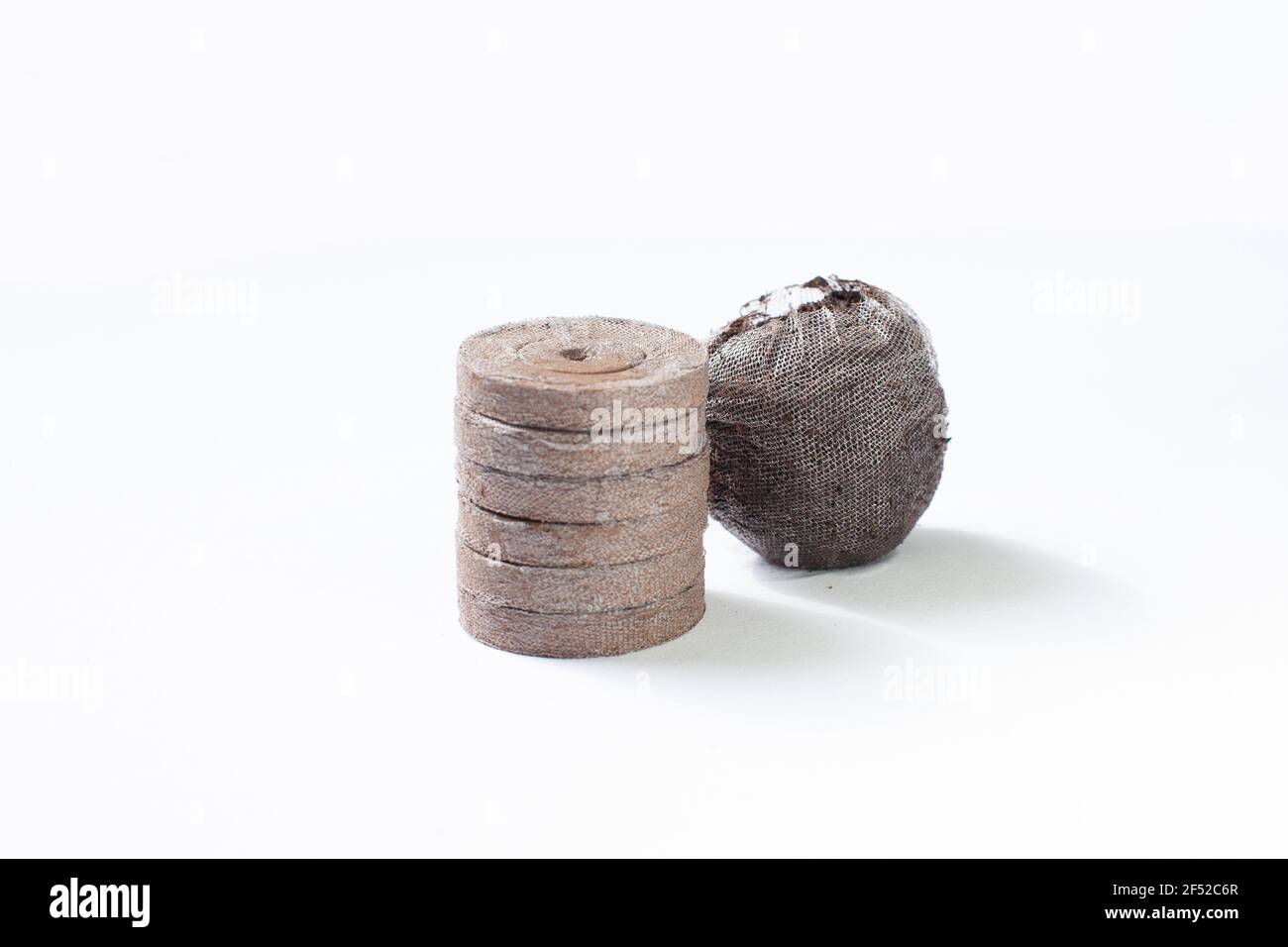 I pellet di torba compattati isolati (baccello) per l'inizio di seme sono usati dai giardinieri. La torba viene raccolta in modo insostenibile e ha portato a danni irreversibili. COC Foto Stock