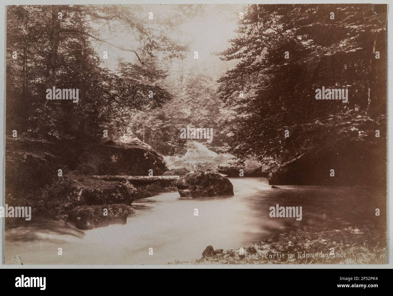 Svizzera bohémien. Edmundsgrund. Vista sul fiume Kamnitz (Kamenice). Fotografia di Hermann Krone (Gabinetto: Carta albumina con scritte negative, carta nera a filo, danneggiata). 1890 Foto Stock