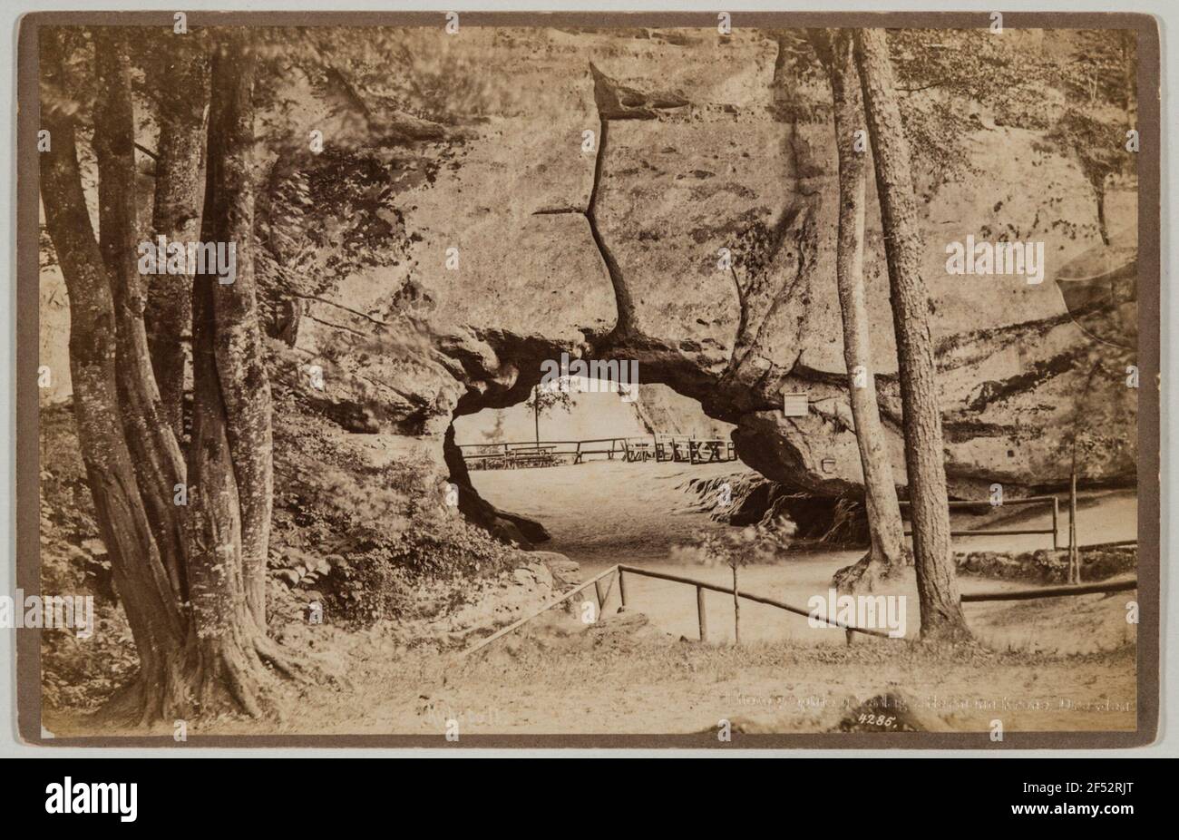 Svizzera sassone, nuovo Wildenstein. Capannone. Lato Foresta (lato Nord) Foto Stock