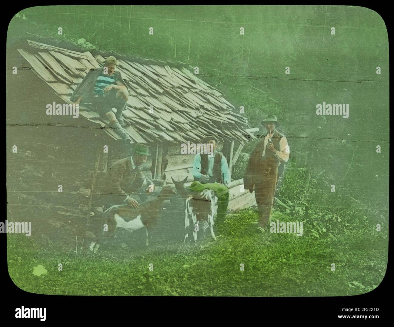 Altalpel a Lienz Foto Stock