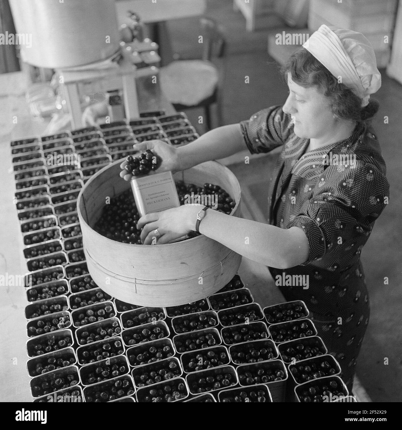 Donna riempie le ciliegie preparate in lattine Foto Stock