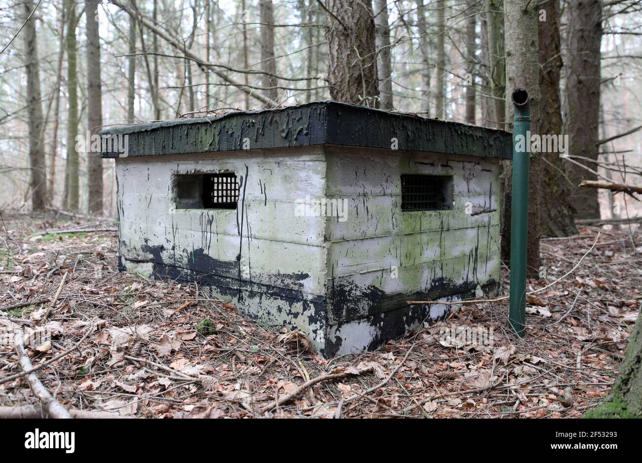 Hohenzieritz, Germania. 23 marzo 2021. Una parte del bunker protettivo per la dirigenza distrettuale SED Neubrandenburg in un'area boscosa. Il Grundstücksauktionen la Deutsche 25.03.2021 AG (Berlino) ha messo all'asta l'impianto. L'offerta minima per circa 280 metri quadrati di area utilizzabile bunker di cui 5000 metri quadrati di foresta fissato con filo spinato deve essere di 7000 euro. All'asta, che si svolgerà via Internet a causa delle restrizioni di Corona, 78 immobili, provenienti principalmente dalla Germania orientale, saranno in vendita. Credit: Bernd Wüstneck/dpa-Zentralbild/dpa/Alamy Live News Foto Stock