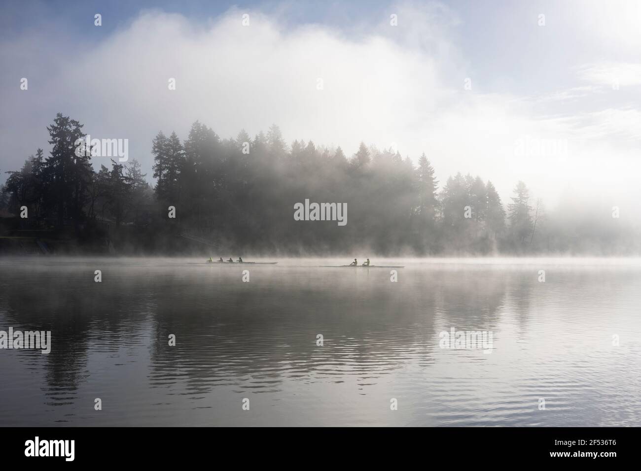 Allenarsi sul fiume in una nebbiosa mattina di primavera. Ambiente tranquillo in un parco naturale. Foto Stock