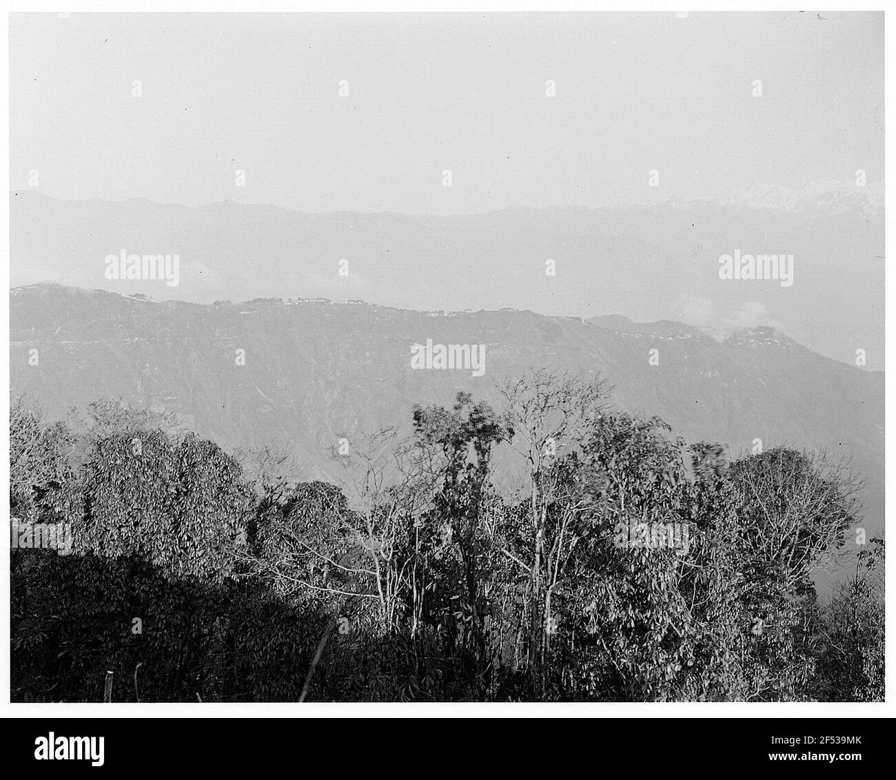 A Darjeeling (India). Vista sul massiccio di Knitchjunga Foto Stock