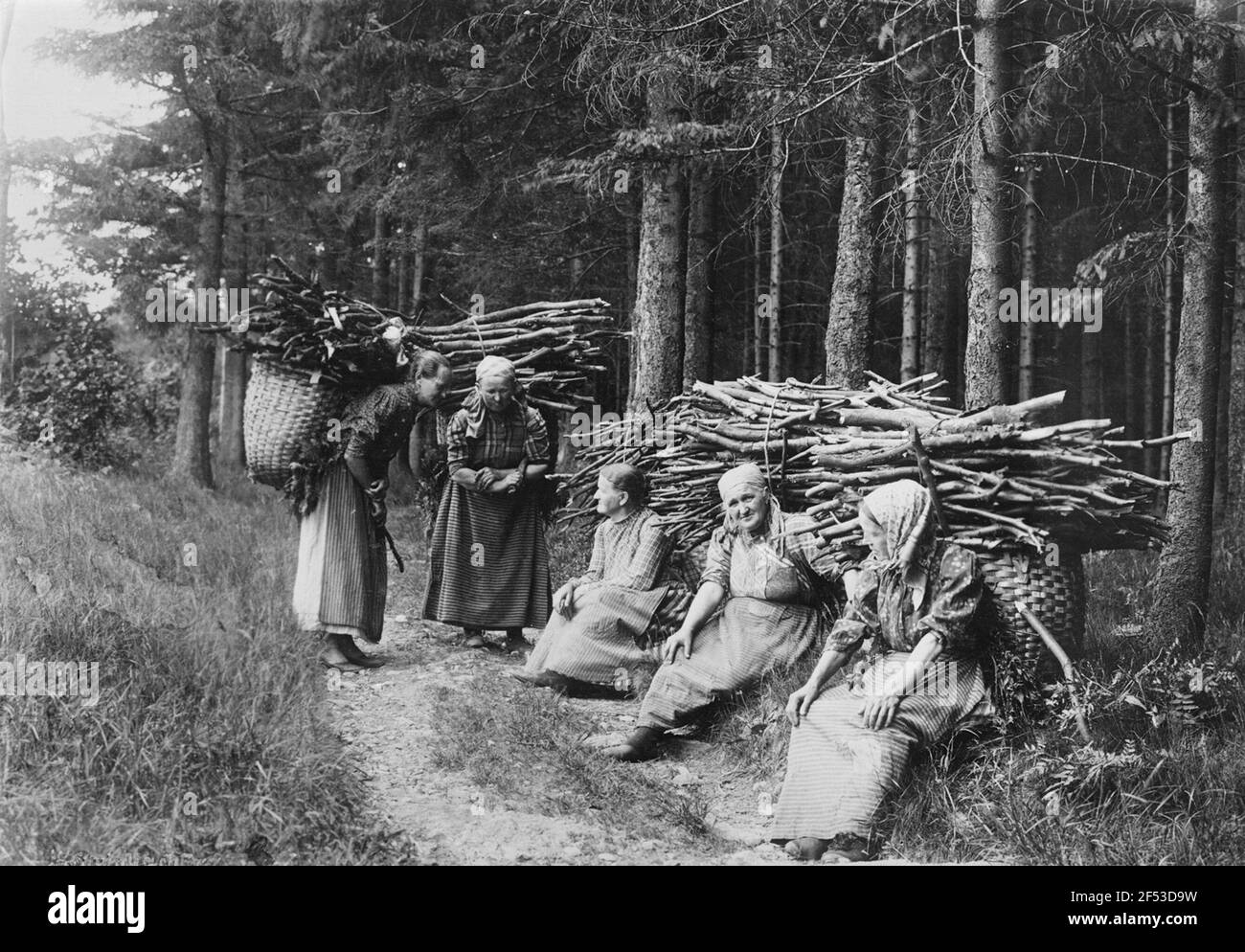 Lettore di legno seduto o in piedi sul bordo del boschi Foto Stock