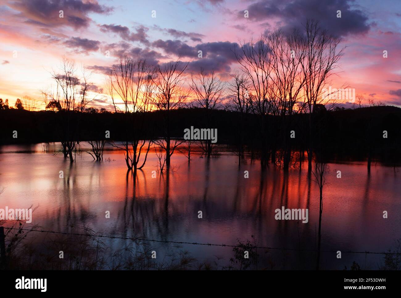 Spettacolare tramonto rosso invernale sul lago di Wyaralong, Queensland, con spettacolari silhouette di alberi annegati e riflessi in acqua still Foto Stock