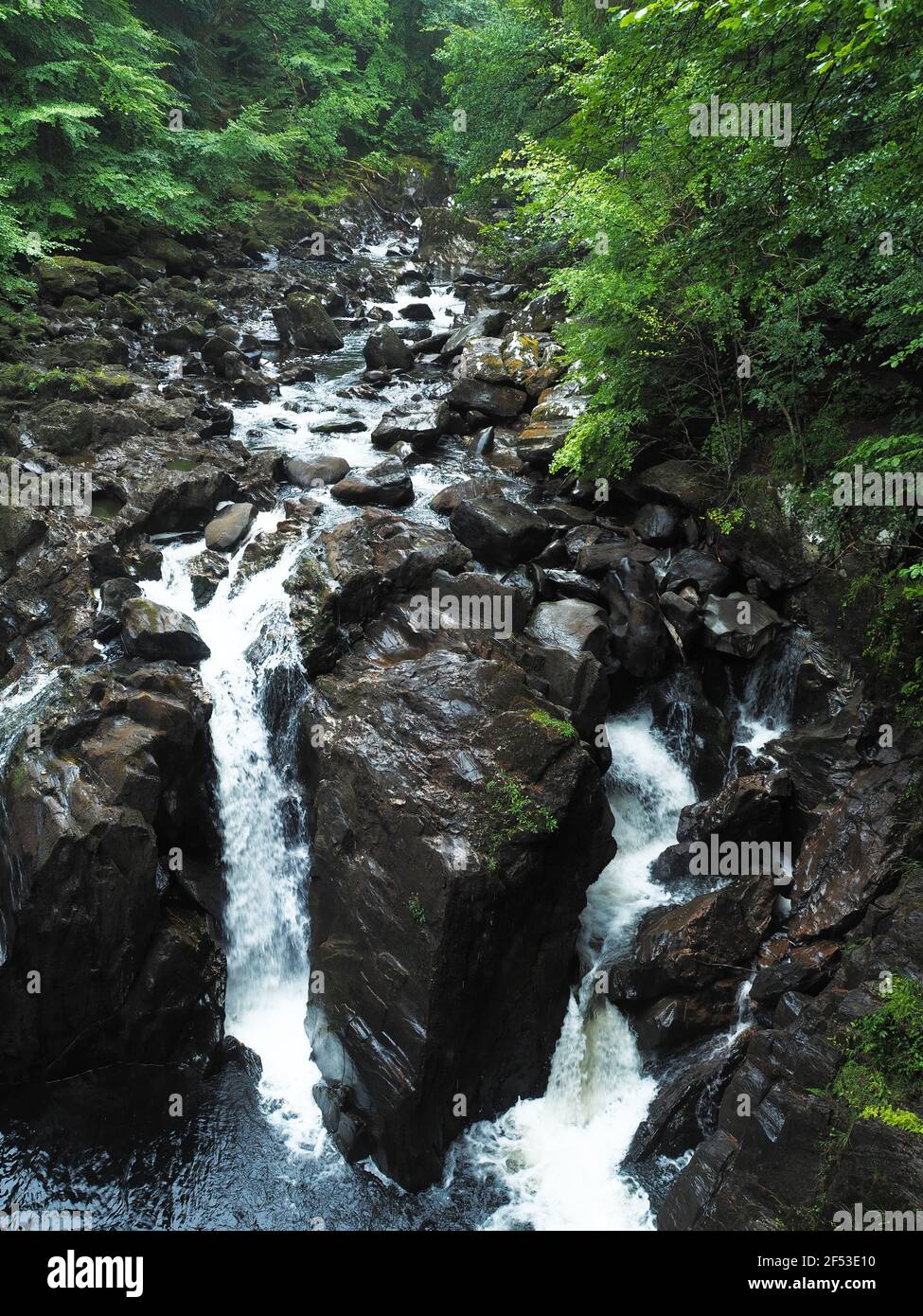Vista delle cascate di Black Linn al parco Hermitage in Perthshire, Scozia Foto Stock Vista delle cascate di Black Linn al parco Hermitage in Perthshire, Scozia Foto Stock