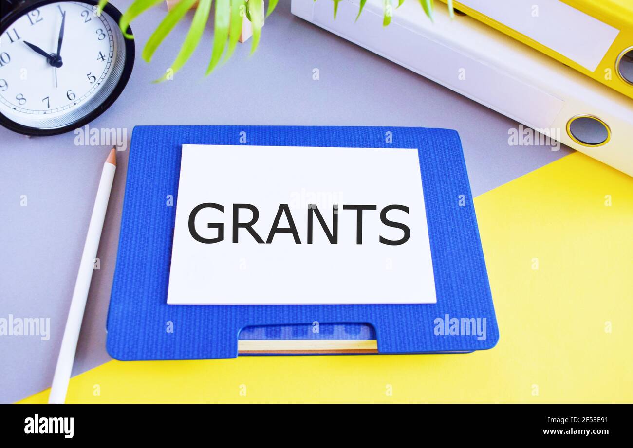 Cartello di testo che mostra Grant. Foto concettuale denaro fornito da un'organizzazione o da un governo per uno scopo particolare. Foto Stock