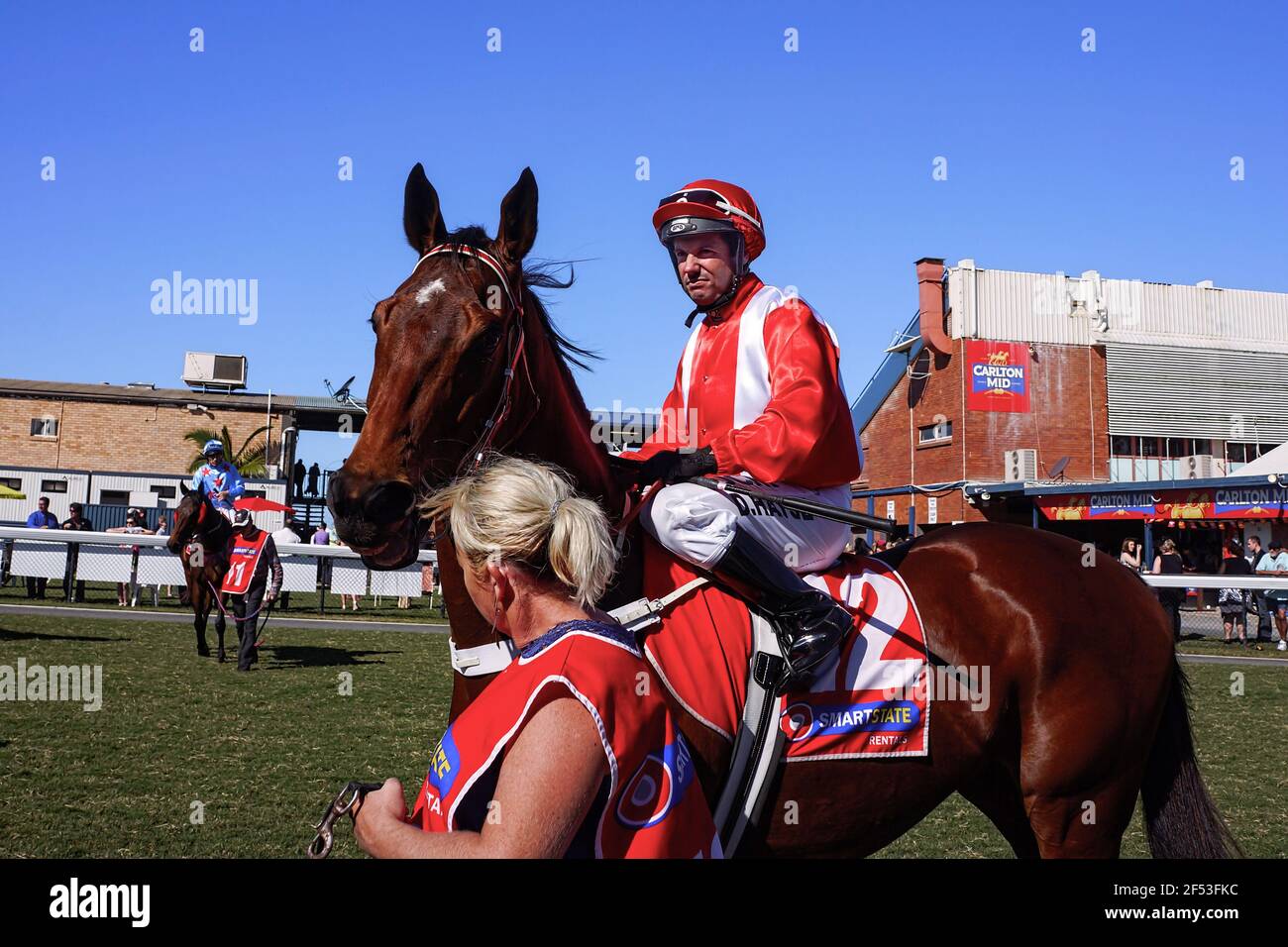 Strappers che conduce cavalli da corsa con i loro jockeys prima dell'inizio di una riunione di corsa di paese a Queensland, Australia. Foto Stock