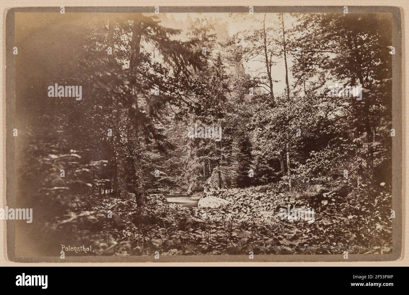 Svizzera sassone. Polenztal Foto Stock